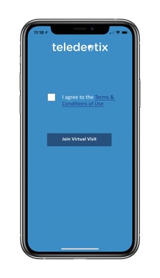 TeldentixBasic-TermsAndConditions